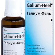 small-galium-xel-kap-d/vnut-pr-gomeopat-30ml-n1-fl-pk-0